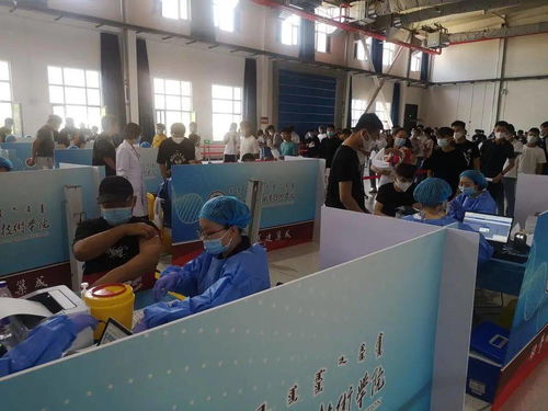 呼和浩特一高校高效完成师生第二剂新冠疫苗接种，后勤服务保障有力